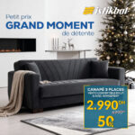 VENTO 3 PLACE CONVERTIBLE EN LIT AVEC RANGEMENT